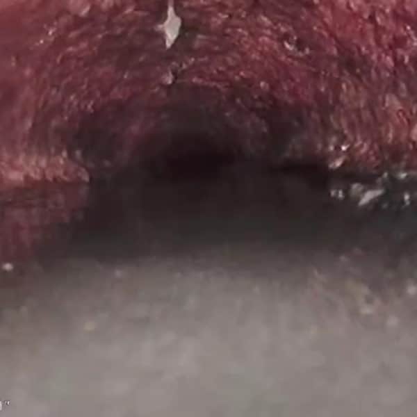 image of sewer line inspection